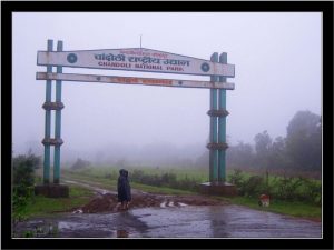 chandoli-national-park--main-gate