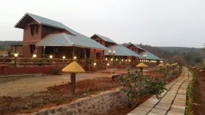 chandoli resort