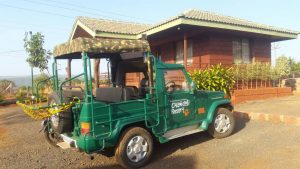 jungle-safari-jeep